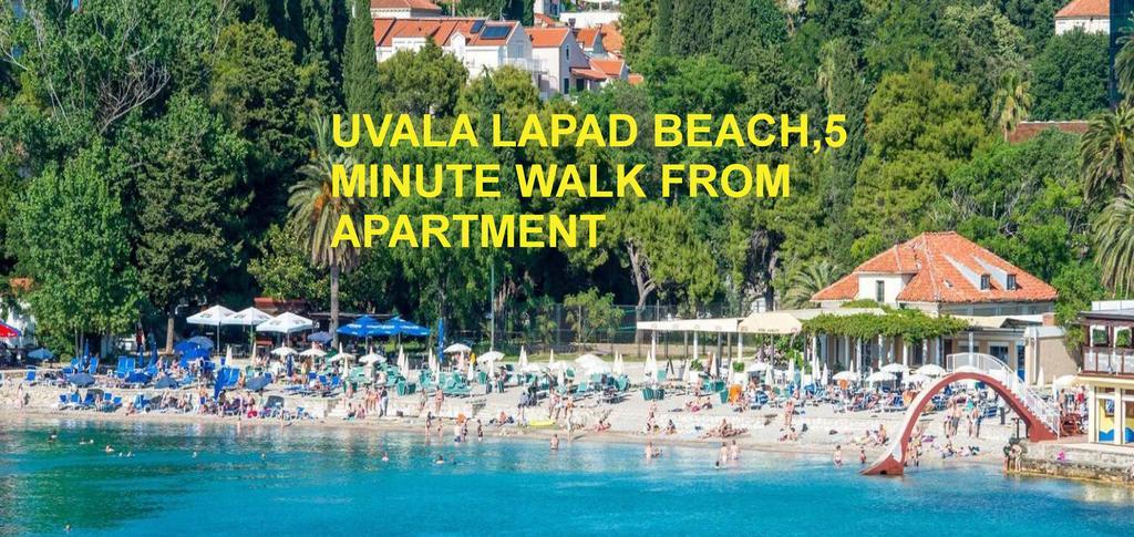 Apartment Aneta